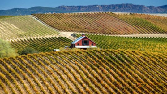 Ultimate Guide to American Wines
