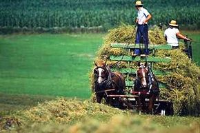 The Amish maintain an 18th century lifestyle in the modern world.