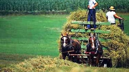 How the Amish Work