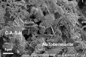 microscopic image of roman concrete