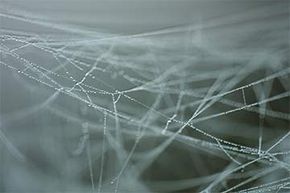 No scientist has been able to collect angel hair, but from the descriptions, they guess that it might be cobwebs.