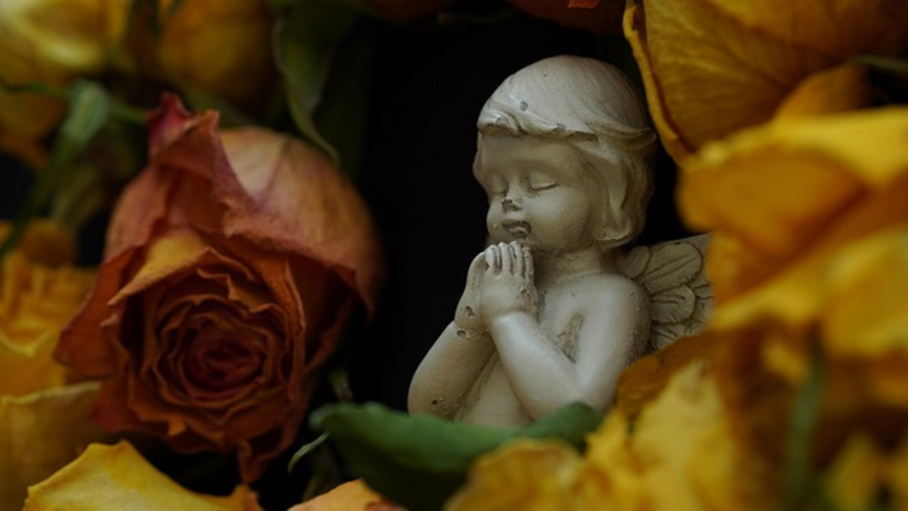 Angel Love