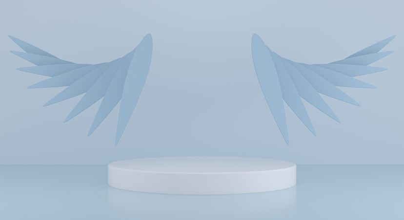 angel wings