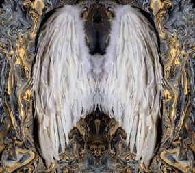 angel wings