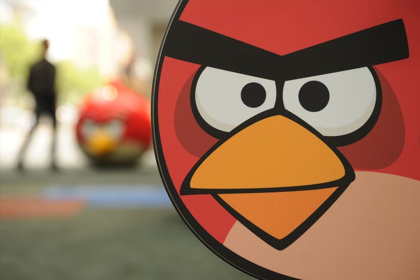 The 'Angry Birds' Quiz