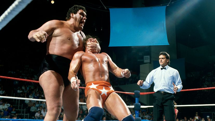 André the Giant