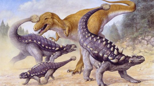 Ankylosaurus: A Tank-like Herbivore With a Killer Club Tail