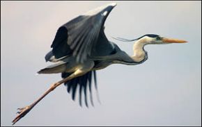 Thomsonfly 4263航班”width=