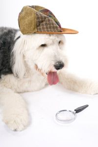 dog detective