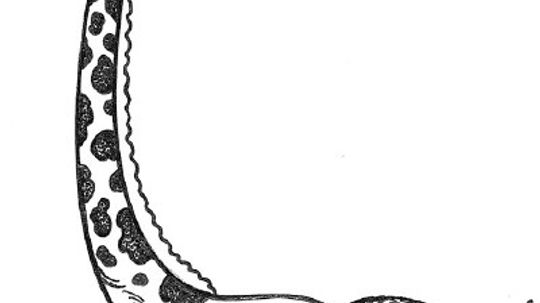 科学活动的孩子”border=