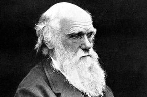 Though Charles Darwin was a supporter of animal testing, he supported humane methods.