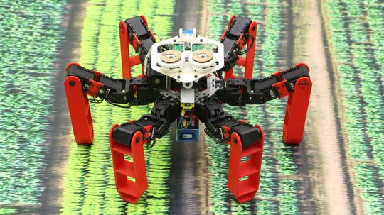 'AntBot' Uses Celestial Navigation Instead of GPS