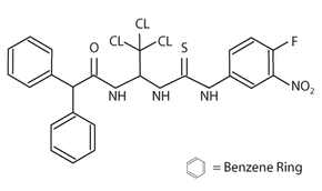 可能CGK733减缓甚至扭转衰老的过程?”width=