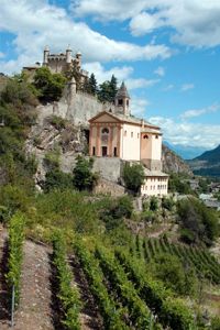 Rows of winery-bound grapes lead up to the Castle at Saint Pierre, the Regional Museum of Natural Sciences in Aosta Valley, Italy­. See our collection of wine pictures.