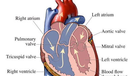 What's aortic valve disease?