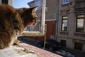 how apartment leases work howstuffworks