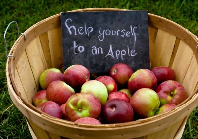 basket of apples