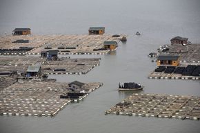 Chinese aquaculture facility