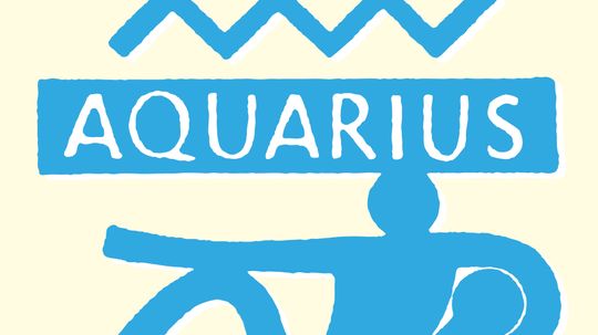 Discovering the Aquarius Spirit Animal: Signs and Symbols