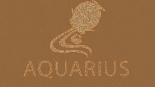 Navigating the Boundless Realm of Aquarius Compatibility