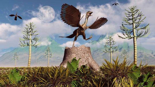 Meet Archaeopteryx, a Feathered Dino With Wings and Teeth
