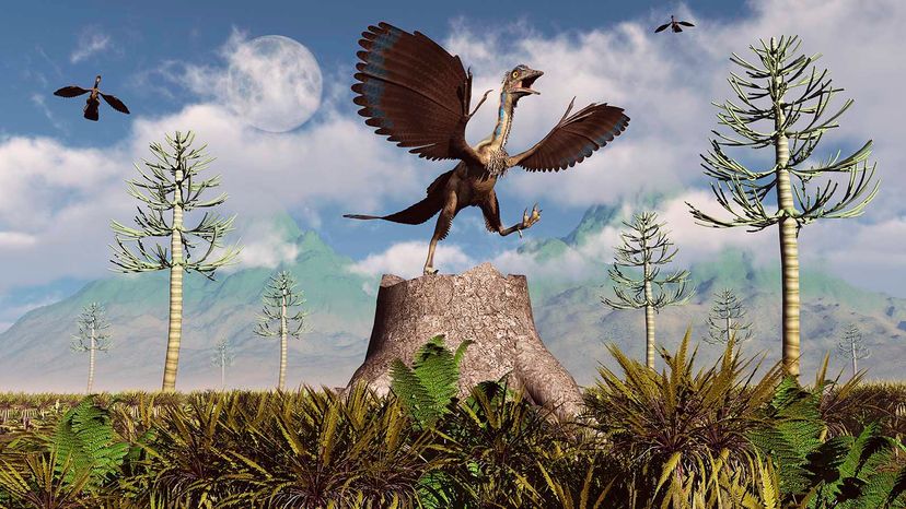 Archaeopteryx