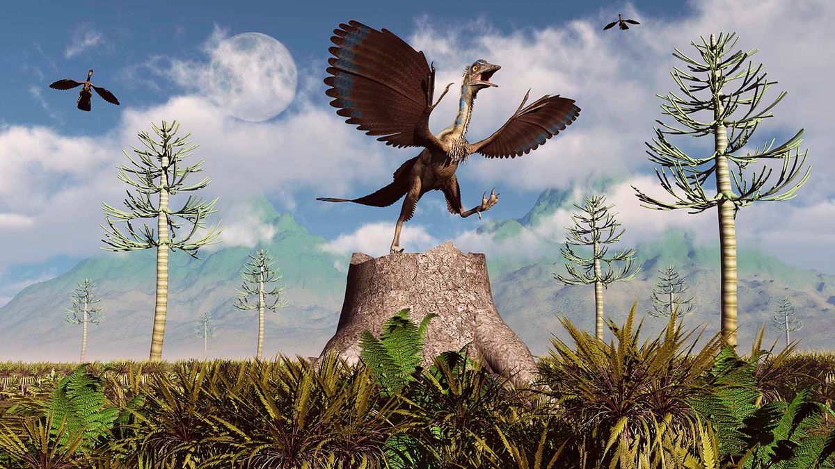 dino archaeopteryx