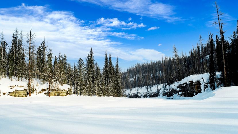 5 Frigid Facts About the Taiga, the World's Largest Terrestrial