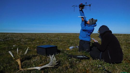 Drones Help Bridge the Gaps in Assessing Global Change