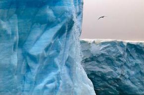 所有的北极当然不会利用本身。所以北方极地索赔和所有珍贵的化石燃料在吗?”width=