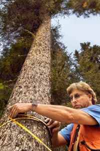 5 Types of Arborist Protective Clothing Even the Most Experienced Workers  Need - Rock-N-Arbor