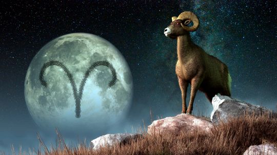 Aries Animal Guide: How the Ram Reflects Aries Traits