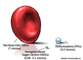 Both HBOCs and PFCs are considerably smaller than red blood cells.