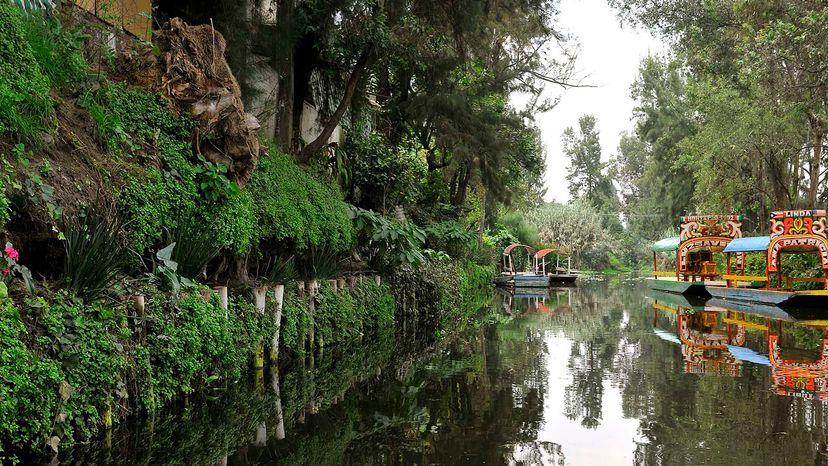 Chinampa运河Xochimilco“border=