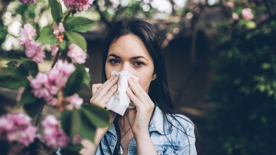 People With Asthma, Hay Fever May Have Higher Risk of Psychiatric Disorders