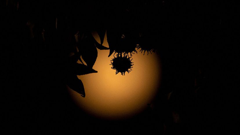 supermoon in Santiago, Chile