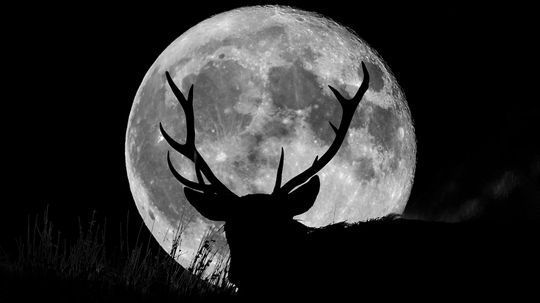 Why July's Full Moon Is Known as the Buck Moon