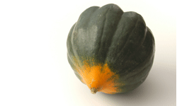 Acorn squash make this casserole and elegant but inexpensive dish.