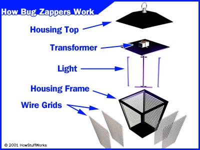 How Gas Lanterns Work