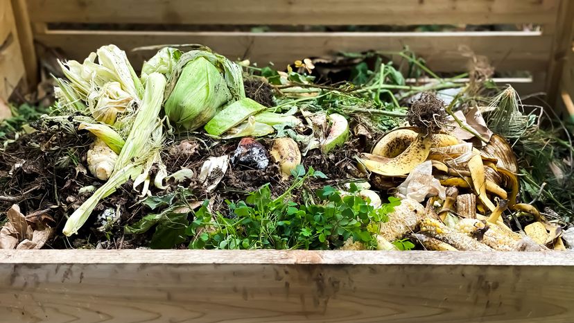 compost bin