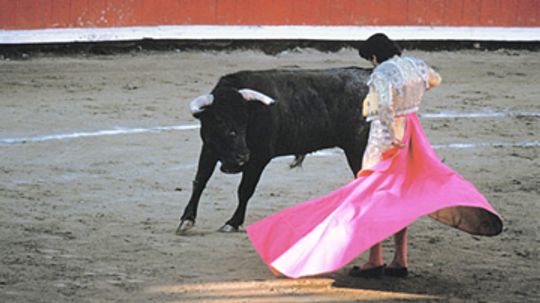 How Bullfighting Works