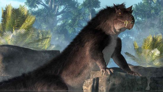 的Bunyip真的困扰澳大利亚湿地吗?”class=