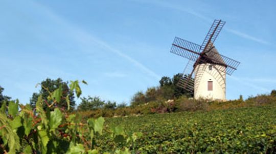Ultimate Guide to the Burgundy Wine Region