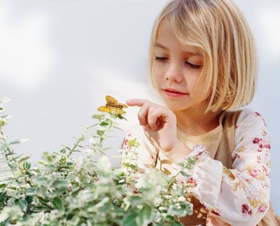 touching a butterfly