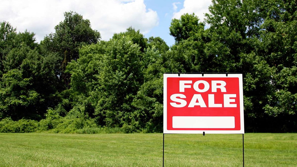 Should you buy land or 2024 a house