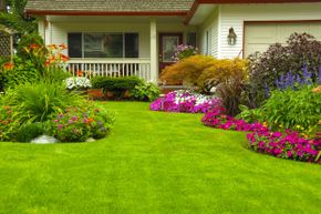 Ahhh, the lovely sanctuary of your yard. There could be danger lurking there, but not to worry. Identify the problems, fix them, and get back to enjoy your personal sanctuary.