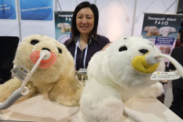Two Paro seals in recharge mode at a trade show.