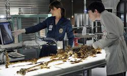 The cast of "Bones," and most other CSI shows, have unlimited resources and access to futuristic technology.”border=