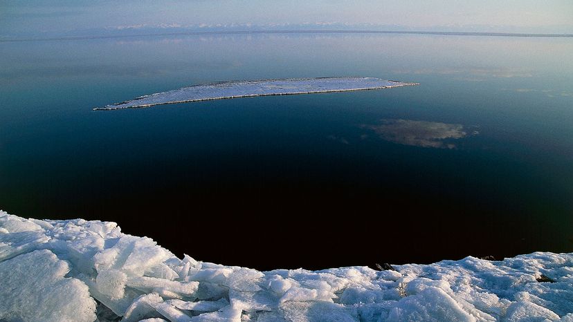 Lake Baikal is the only home of the nerpa, or Lake Baikal seal, the only freshwater seal in the world. DEA / C. SAPPA/Getty