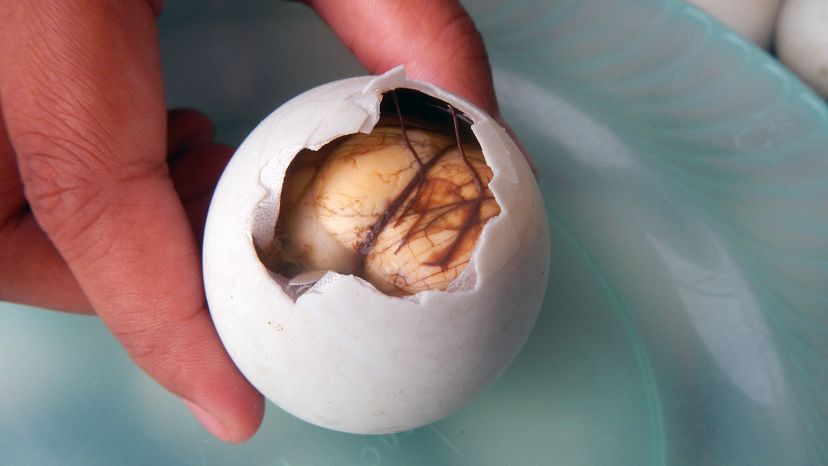 DO NOT EAT ROTTEN DUCK EGGS or this WILL HAPPEN TO YOU! 